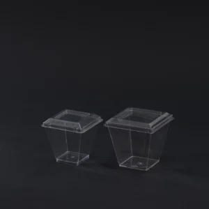 prizma case sa poklopcem