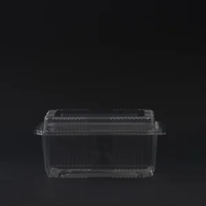 PET povisena posuda 750ml