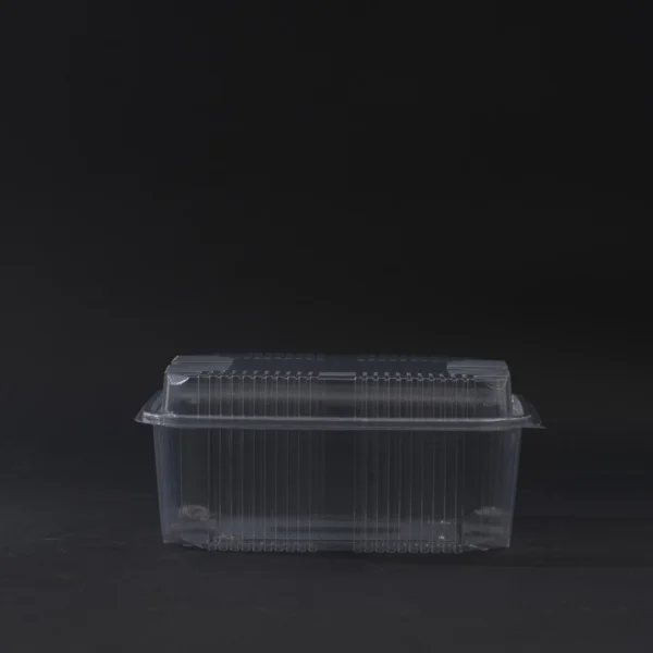 PET povisena posuda 2000ml