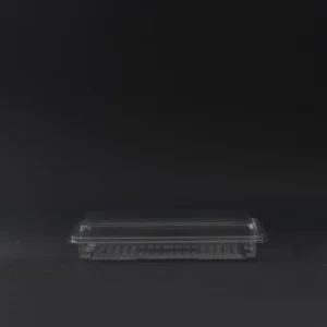 dezert container 1000g