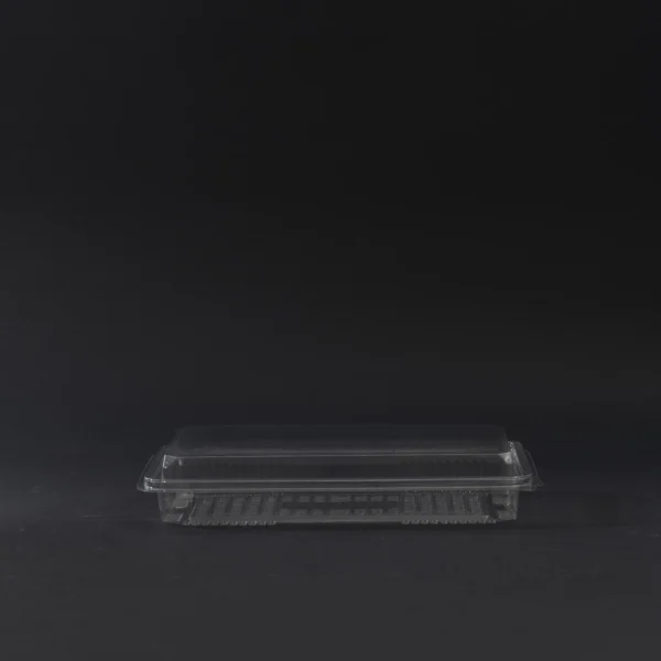 dezert container 1000g