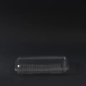 dezert container 500g