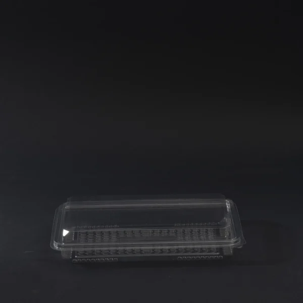 dezert container 500g