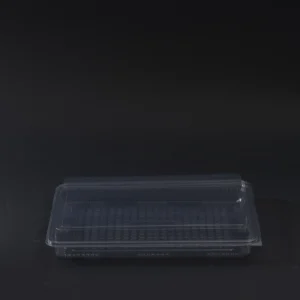 dezert container 500g