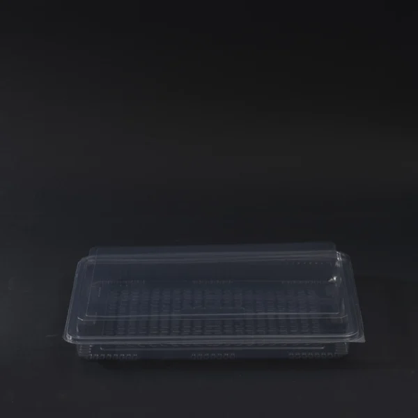 dezert container 500g