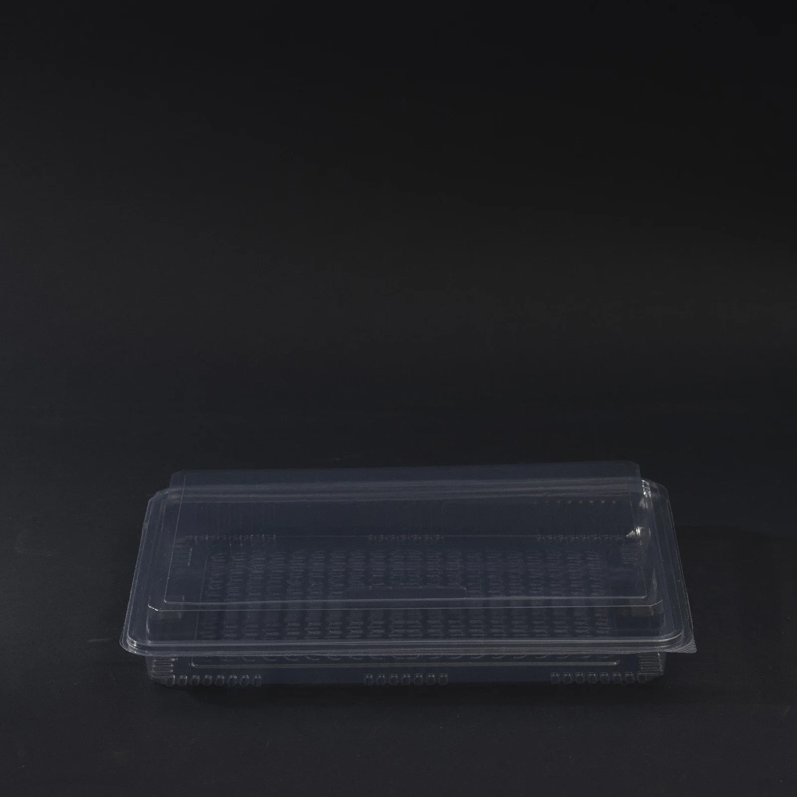 dezert container 500g